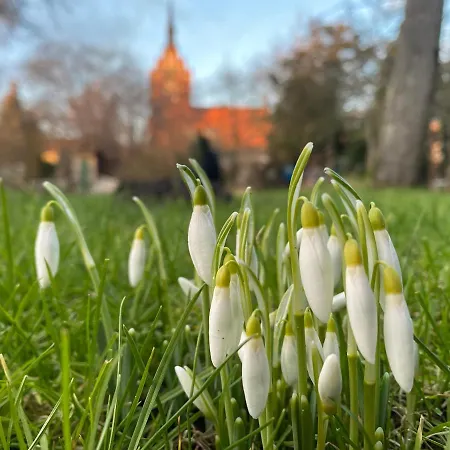 Locanda Norddeutscher Hof - Kutscherstation Usedom Town