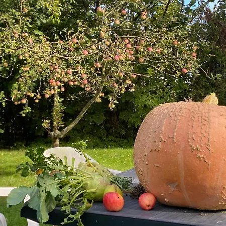 Norddeutscher Hof - Kutscherstation Locanda Usedom Town