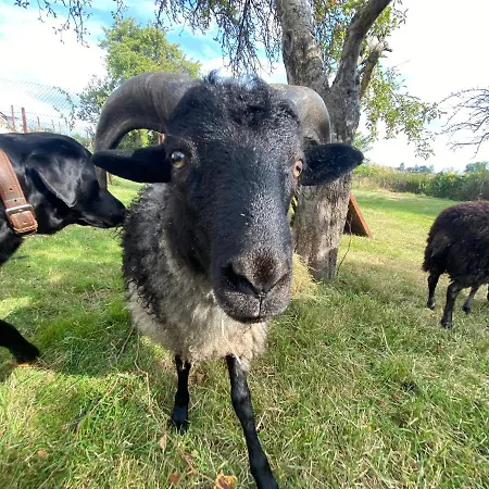 Norddeutscher Hof - Kutscherstation